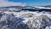 Top Mount Beauty