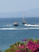 Top Bodrum City