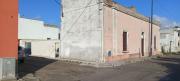 Top Felline