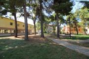 Top Novigrad Istria