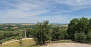 Top Paciano