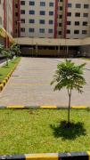 Top Kisumu