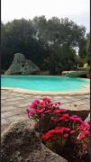 Seaside Villa in Porto Rotondo + Shared Pool