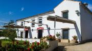 Top Montilla