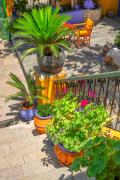 Top Symi Top Symi