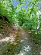 Top La Salvetat