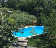 Top Treglio