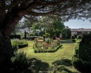 Top Landevieille