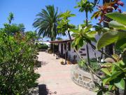 Top La Laguna