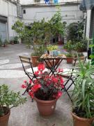 Top Naples