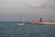 Top Trani