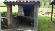 Top Arezzo