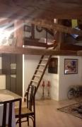 Top Campea