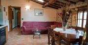 Top Arezzo