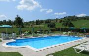 Top Arezzo