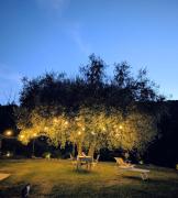 Top Montecarotto