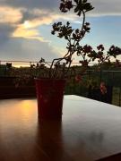 Gordia organic winery
