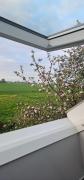 Uitrusten in de natuur bij Zutphen
