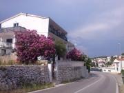 Top Tisno