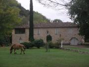 Top Bruniquel