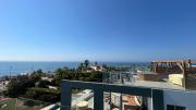 Top Pervolia