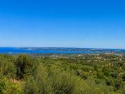 Top Noto