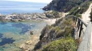 Top Capo D'Arco Top Capo D'Arco