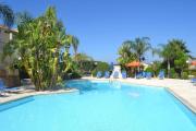 Top Paphos City