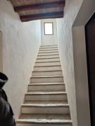 Top Rosia