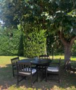 Top Mantova