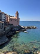 Top Tellaro
