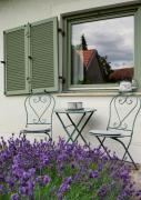 Top Tihany