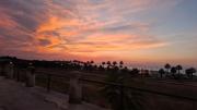 Top Barletta