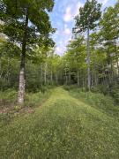 Top Bark River