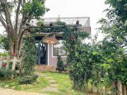 Top Riong Thô (1)