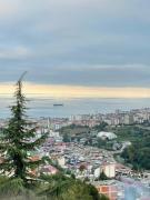 Yeşilliğin İçindeki Aradığınız Huzur