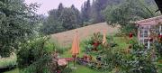 Top Brunnadern Top Brunnadern