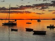 Top Burrum Heads