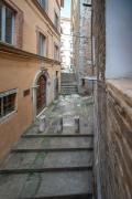 Top Perugia Top Perugia