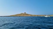 Top Isola delle Femmine