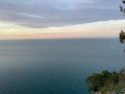 Top Ancona Top Ancona