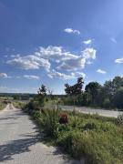 Top Zamość