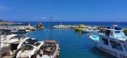 Top Paralimni