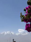 Top Arequipa