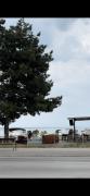 Top Struga