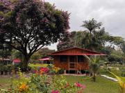 Top Pucallpa