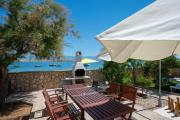 Apartments by the sea Vir - 24566