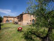 Top SantAndrea a Montecchio