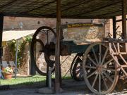 Top SantAndrea a Montecchio