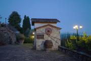 Top Scopeti